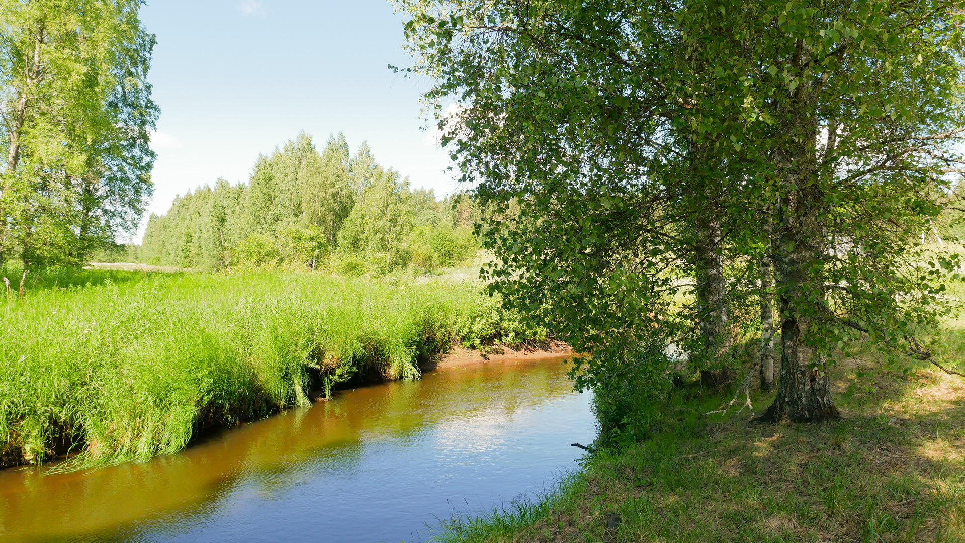 Река протекает в непосредственной близости от поселка